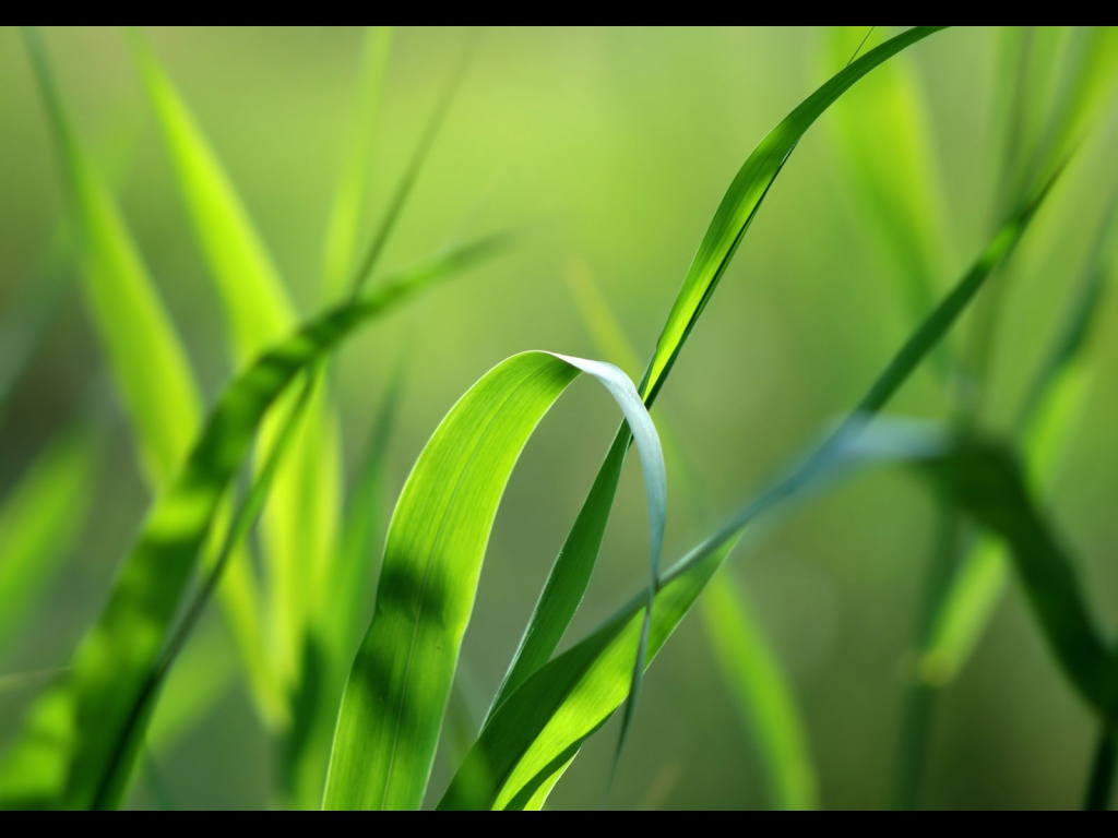 Achat Terrain PAREMPUYRE Terrain à bâtir de 800 m² Parempuyre